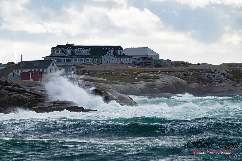 Peggys Cove Blustery Day 102