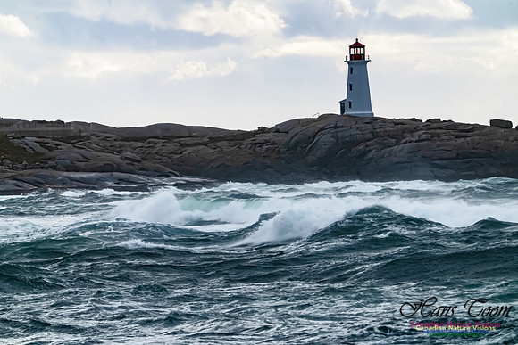 Peggys Cove Blustery Day 106