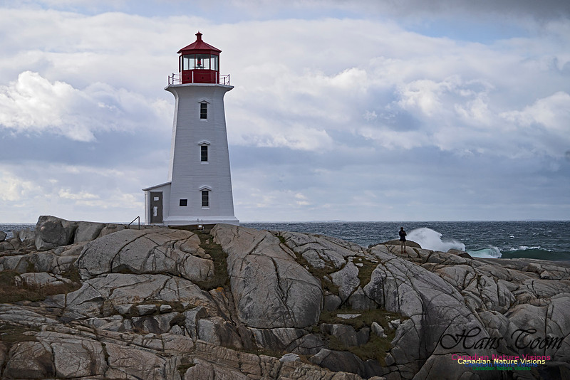 Peggys Cove Blustery Day 104