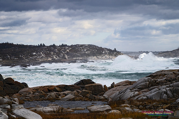 Peggys Cove Blustery Day 103