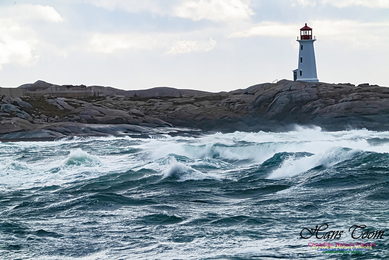 Peggys Cove Blustery Day 107