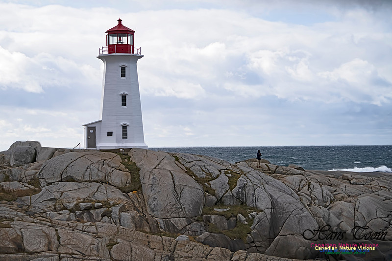 Peggys Cove Blustery Day 108