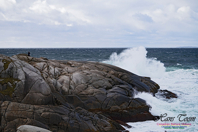 Peggys Cove Blustery Day 109