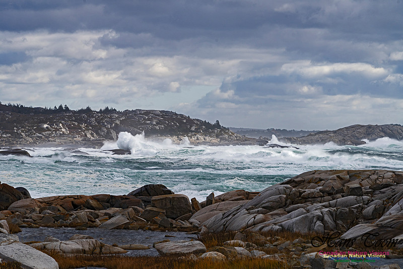 Peggys Cove Blustery Day 101