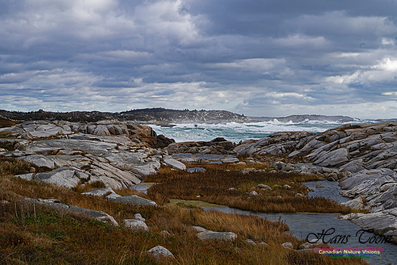 Peggys Cove Blustery Day 100