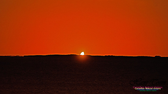 Eclipse 102