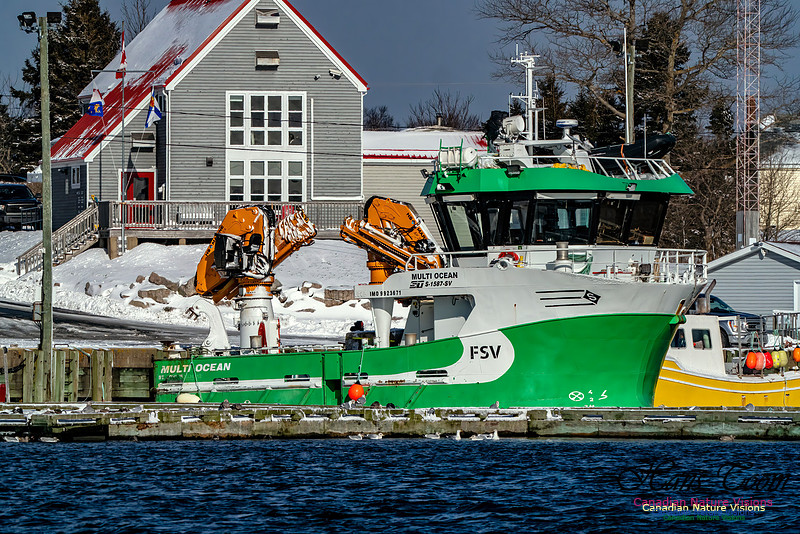 Nova Scotia Winter 305