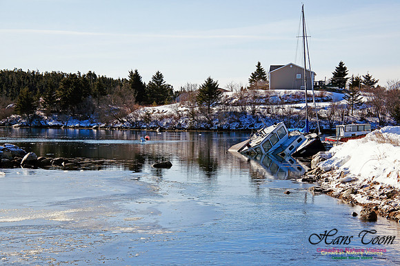 Tugger has Sunk