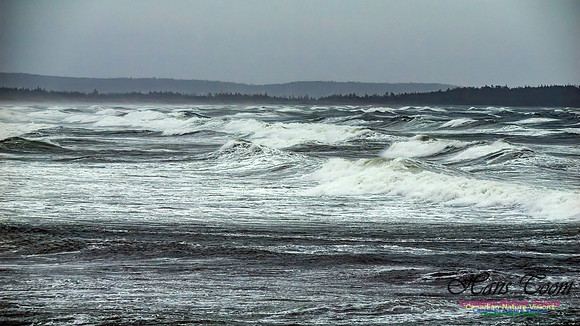 December Gale 117