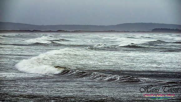 December Gale 116