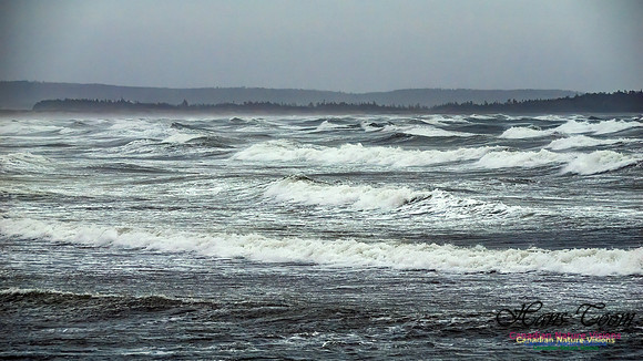 December Gale 114