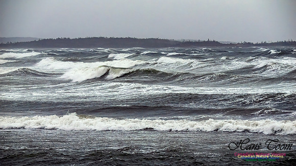 December Gale 113