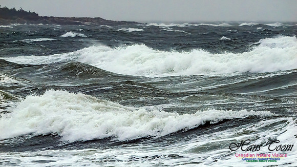 December Gale 111