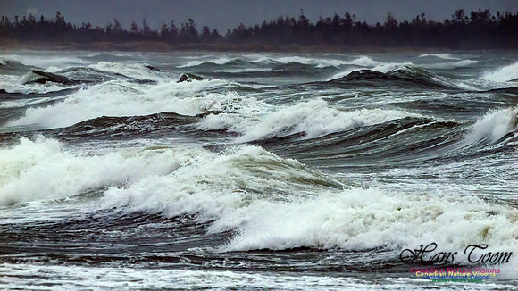 December Gale 109
