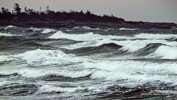 December Gale 106
