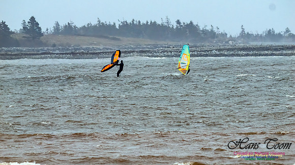 December Gale 131