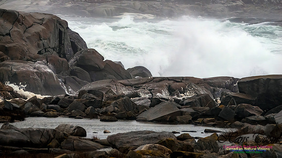 December Gale 153