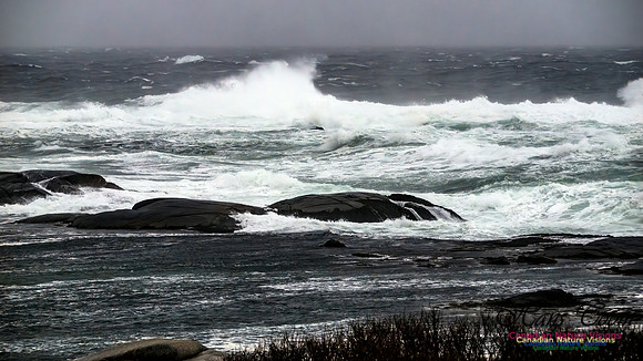 December Gale 140