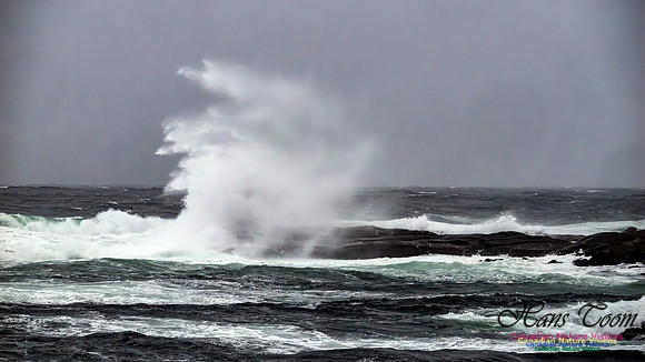December Gale 135