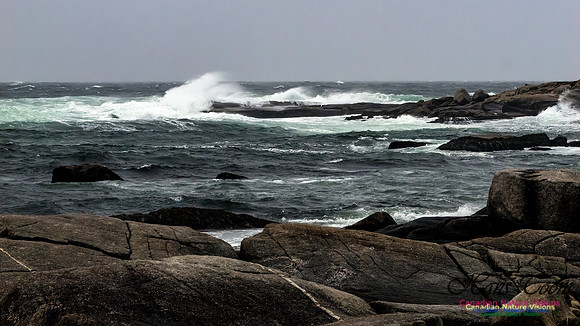 December Gale 133