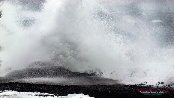December Gale 166
