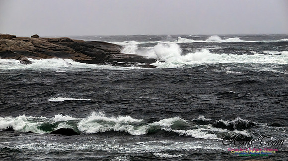 December Gale 167