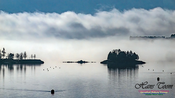 Christmas Morning Bedford Basin 104