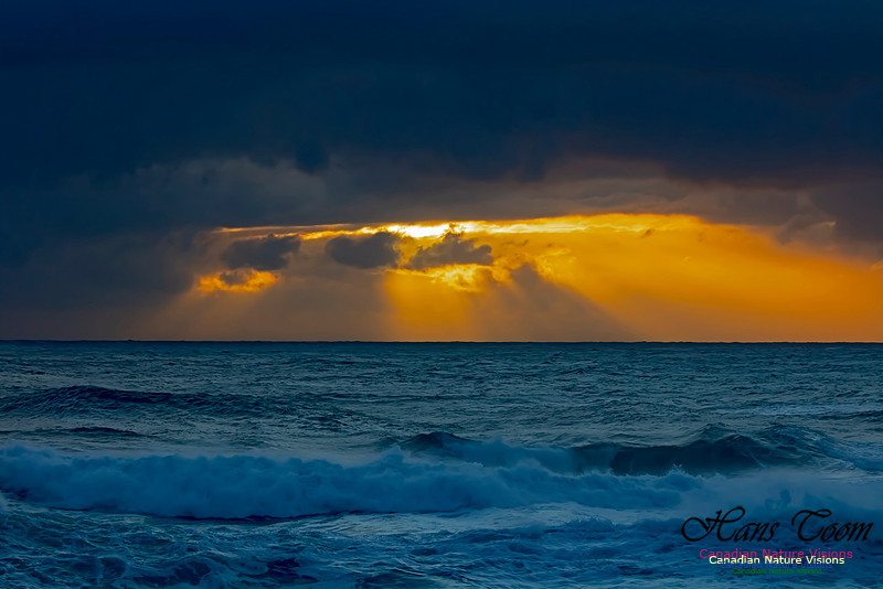 Morning Sun at Duncan Reef 12