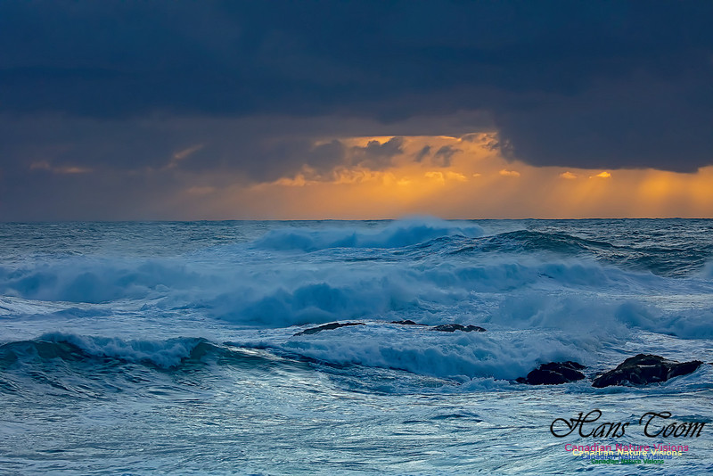 Morning Sun at Duncan Reef 11