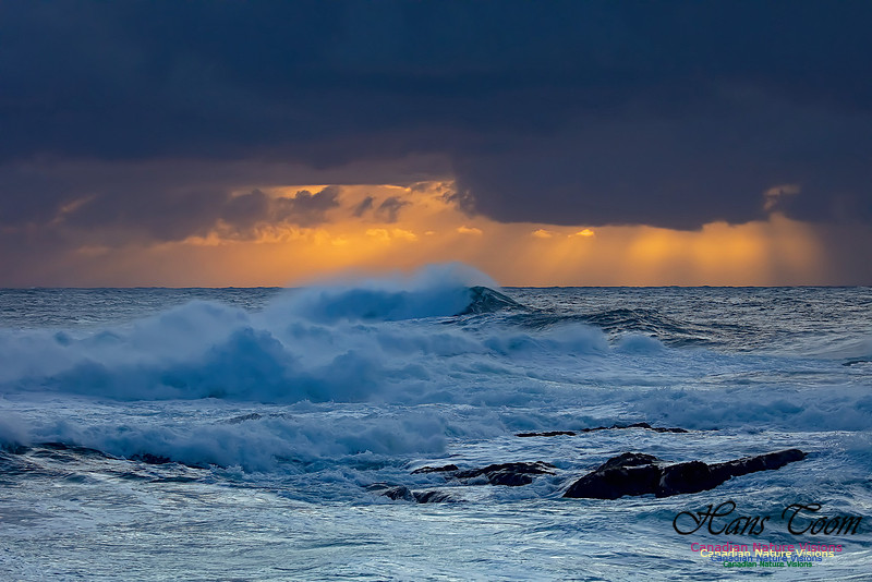 Morning Sun at Duncan Reef 10