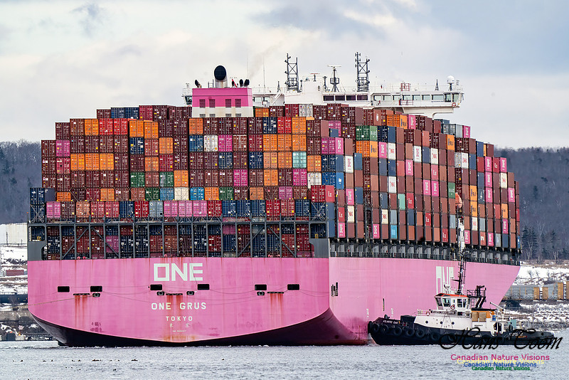 Container Ship 100