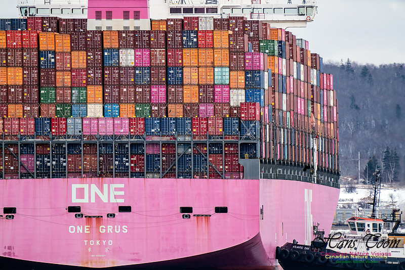 Container Ship 101