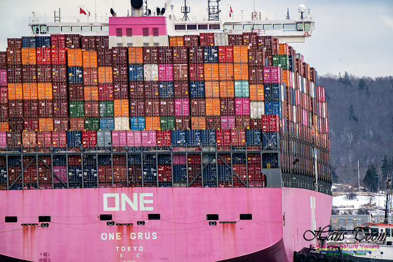 Container Ship 102