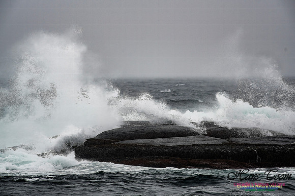 Nova Scotia Winter Scenes 110