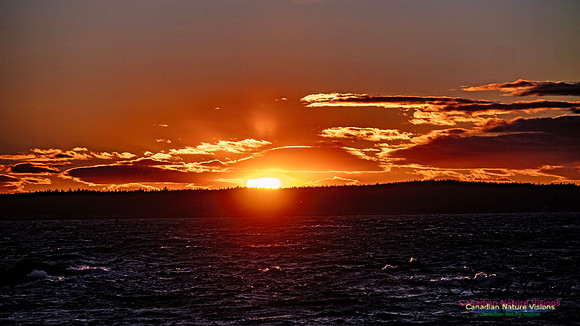 Peggy's Cove Sunset 908