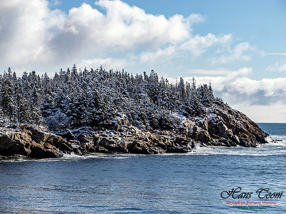 April Snow in Nova Scotia 217