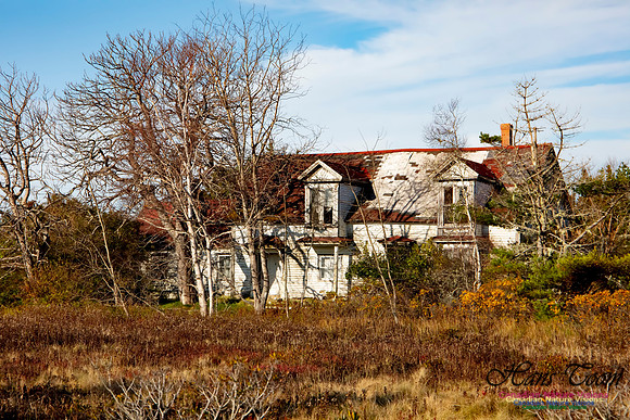 Red Roof Memories 2