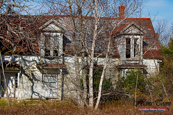 Red Roof Memories 4