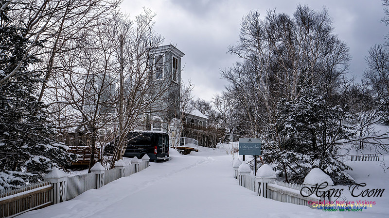 Some Winter Scenes 150