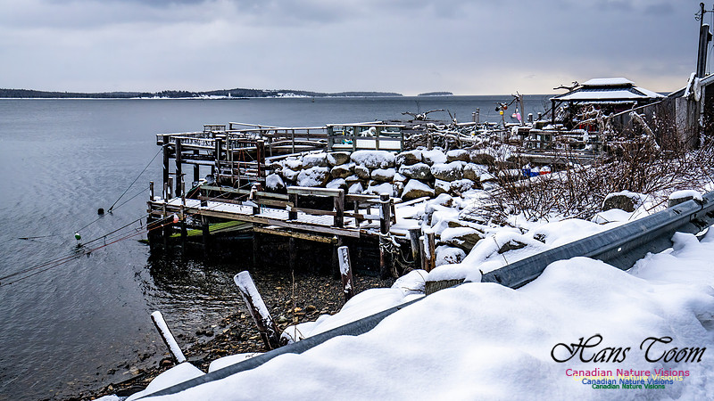 Some Winter Scenes 100
