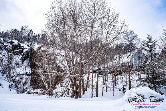 Some Winter Scenes 101
