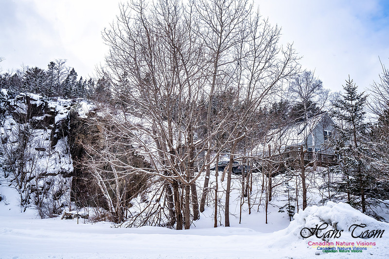 Some Winter Scenes 101