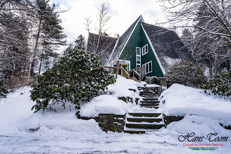 Some Winter Scenes 102