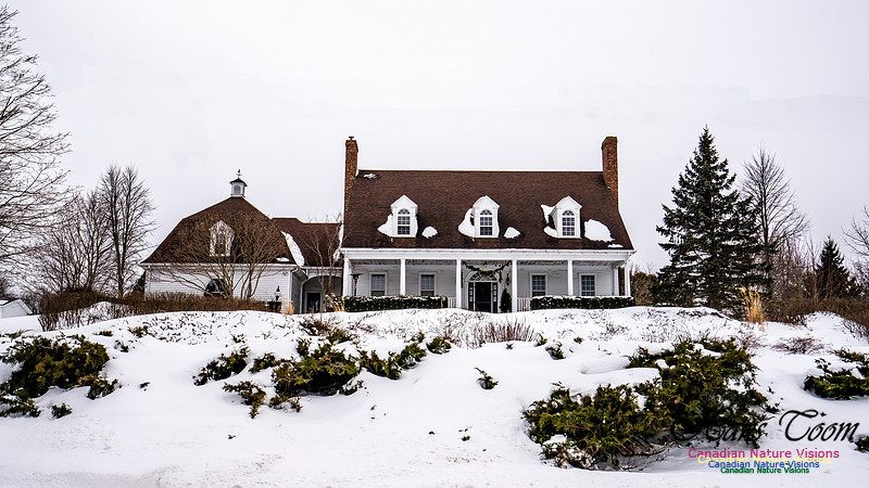 Some Winter Scenes 117