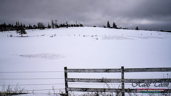 Some Winter Scenes 121