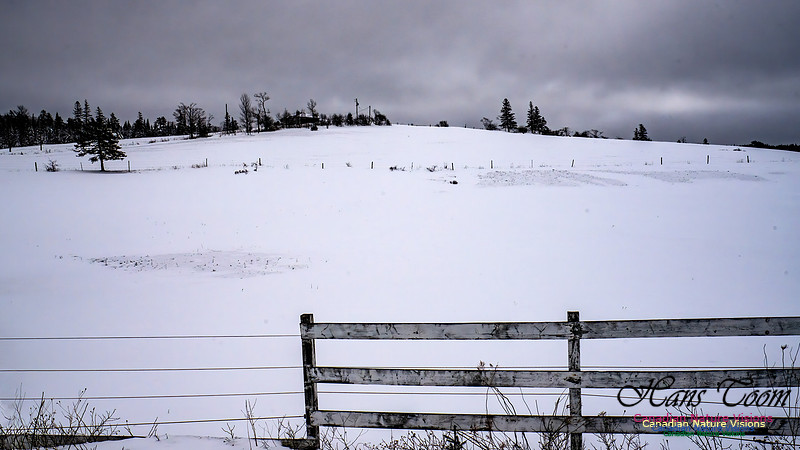 Some Winter Scenes 121