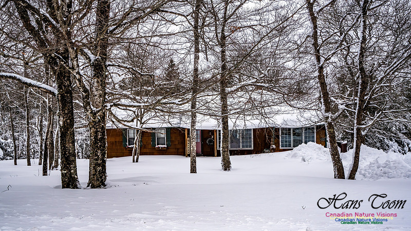 Some Winter Scenes 122