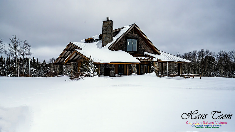 Some Winter Scenes 124
