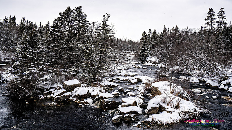 Some Winter Scenes 126