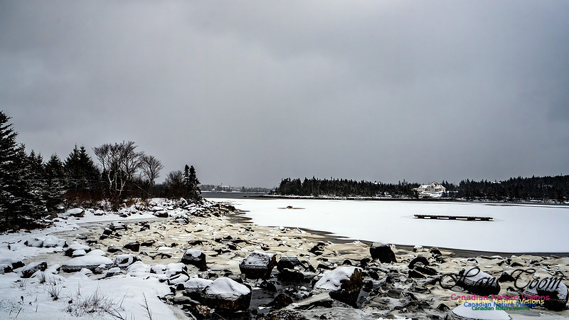 Some Winter Scenes 130